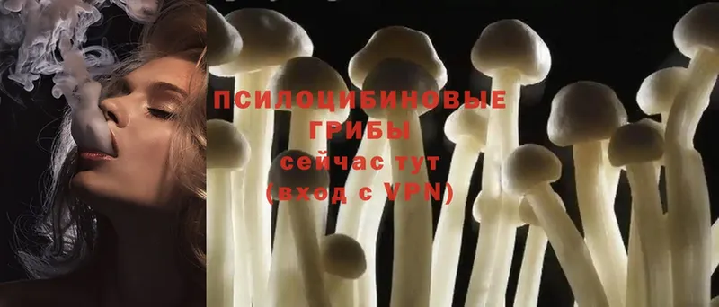 ОМГ ОМГ ССЫЛКА  Славянск-на-Кубани  Галлюциногенные грибы Psilocybine cubensis 